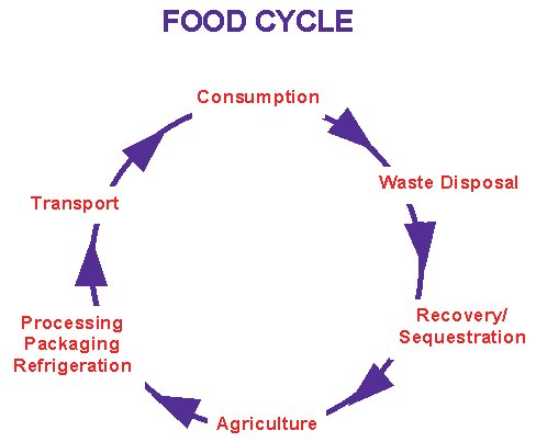 graphic: food & carbon